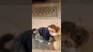 КАЙ и СМЕШНОЙ КОСТЮМЧИК