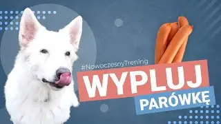 Proste i skuteczne ćwiczenie, żeby oduczyć psa zjadania śmieci na spacerze.
