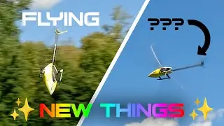OMPHOBBY M4 | Flying ✨NEW THINGS✨