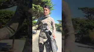 The best plastic fins for spearfishing