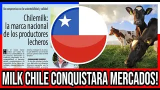Milk Chile CONQUISTARA China, Mexico y Colombia 🇨🇱 #Chile #Valparaiso #ViñaDelMar #BioBio #CL