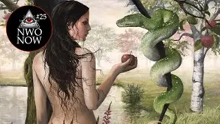 NWONOW #25 Money Grows on the Tree of Knowledge