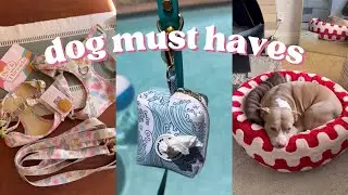 MY TOP PET MUST HAVES || amazon finds