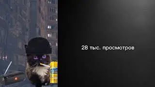 Твои просмотры это: Думерские лица кота: