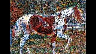 Pinturas de Cavalos 