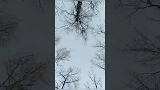 Утро. Новый Год