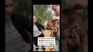 Gettato in un pozzo legato, abbandonato ad un crudele destino