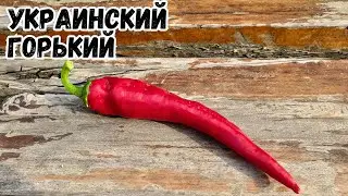 Украинский горький (большой) острый сорт перца.
