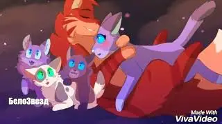 Синегривка и Жёлудь-Bluefur and Oakhear[Коты Воители-Cats Warriors{заказ Огнекрыл КВ}(We Got Love)]