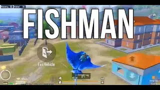 Catching some fish | ILLusio