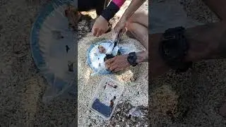 COOK EXPRESS | PAKOY | CATCH AND COOK