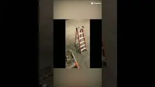 Broken humors#funny#turtle#funny#edit#capcut