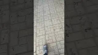 у кого жиза? #школа #рекомендации #1сентября