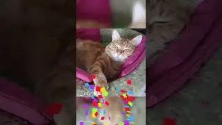Мои Детки!