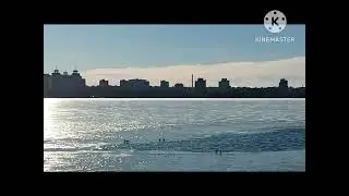 Подснежники...