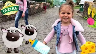 Sheep's house - Bento Gonçalves (Brazil) - Lauren Travel Kids