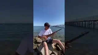 Комуз. Адилет Жумабеков. Мелодия Булбулум