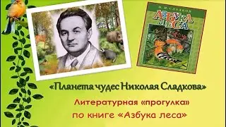 Планета чудес Николая Сладкова.  Онлайн-викторина