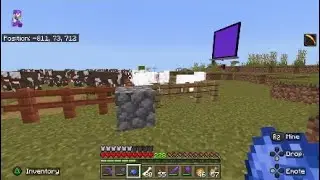 10 tip for beginners Minecraft bedrock animal theme (2)