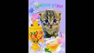 #доброеутро #котики #коты #кошки красивое пожелание#lol