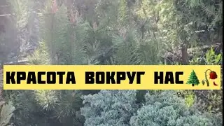 Сила природы🌺Весна пришла! Красота -вокруг нас в мелочах! 🥀❤️