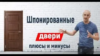 Шпонированные двери что это такое
