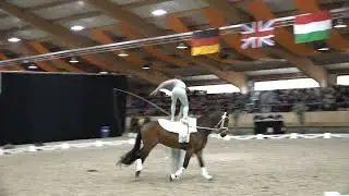VV Ingelsberg Freestyle