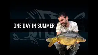 CARPFISHING | FAST SESSION 24H