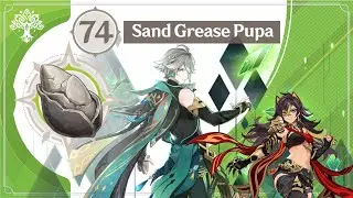 Semua Lokasi Sand Grease Pupa || Genshin Impact || All Sand Grease Pupa Location | Alhaitham & Dehya