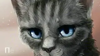 Коты-Воители имена часть 1