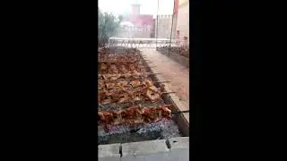 СУПЕР ШАШЛЫК МАШЛЫК ИЗ 1000 БАРАНОВ!!!!