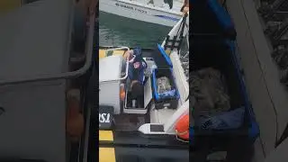 사장님 몇수나 하셨어유? #fishing #fish #낚시 #문어낚시 #쭈꾸미낚시