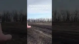 РЕЗУЛЬТАТ РАСЧИСТКИ ПОЛЯ ДЛЯ СЕЛЬСКОГО ХОЗЯЙСТВА ГУСЕНИЧНЫМ МУЛЬЧЕРОМ Fae Prime Tech.