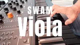 SWAM Viola In Action