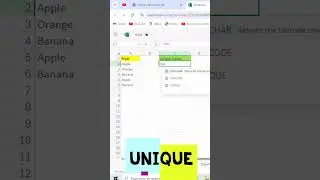 How to Find Unique Values Using Excel Function!  #excelfunction