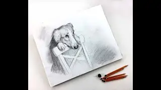Мастер-класс по графике «Лучший друг» | Как нарисовать портрет собаки поэтапно