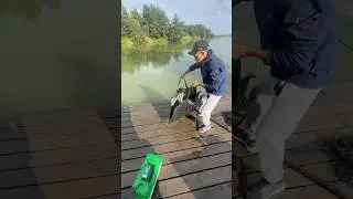 Не воспитанный карась