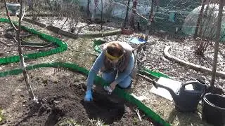 САЖАЮ ЛИЛИИ. Как остановиться!!??