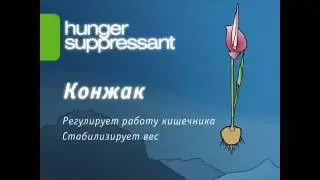 Блокатор жира и Регулятор аппетита