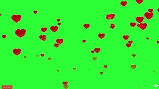 Red Heart Love Green Screen Video | Red hearts falling green screen | Chroma key