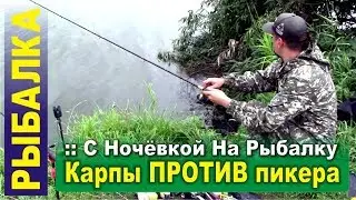 С Ночёвкой На Рыбалку. Ловля карпа на фидер. Рыбалка на леща.