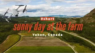 Drone | #short | Sunny Day at the Sod Farm - Yukon, Canada