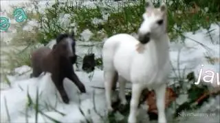 MEP Abgabe an SunnyHorse2003 | Now and Later