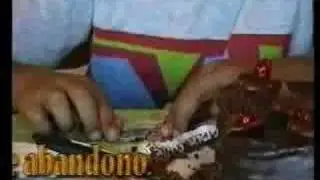 Casa Manu