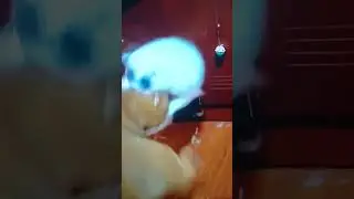 😅😅😅😅😆