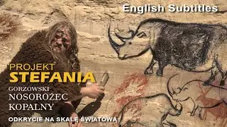 Projekt STEFANIA polski nosorożec kopalny, szkielet sprzed 120 000 lat, plejstocen, MEGAFAUNA