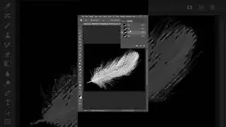 Remove Feather background in Photoshop 