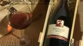 CM videostudio - Abbadia San Giorgio