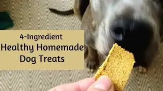 Healthy, Super Crunchy Dog Biscuits #CookingLessonsForMyDaughter #HealthyDogTreats #4ingredienttreat