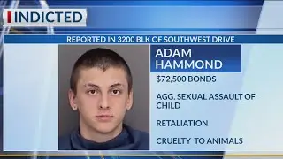 Man indicted on agg. sexual assault of child, animal cruelty charges